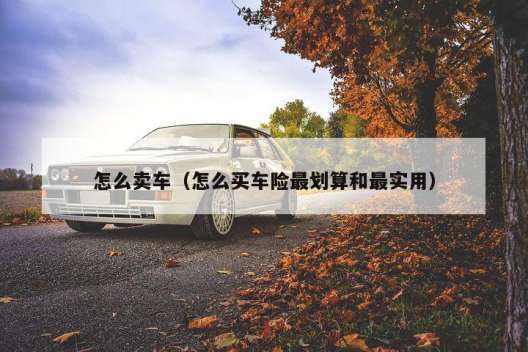 怎么卖车（怎么买车险最划算和最实用）