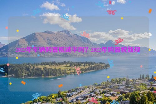 2022年车辆购置税减半吗？2022年购置税新规