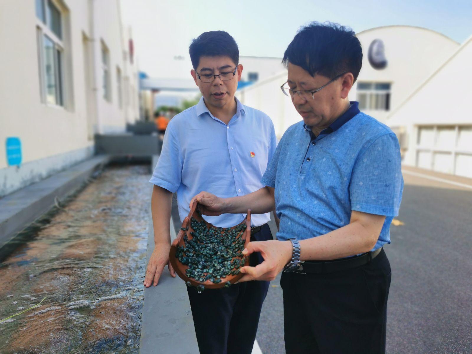 车辆抵押兵器集团_贷款车辆合格证抵押吗_威海市车辆抵押贷款