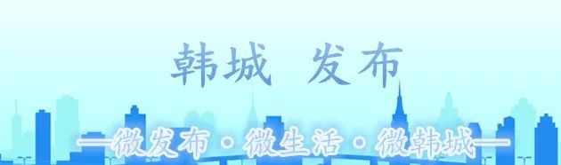 货车事故车主负多少责任_货车事故责任划分_货车在事故中占50%责任怎么办