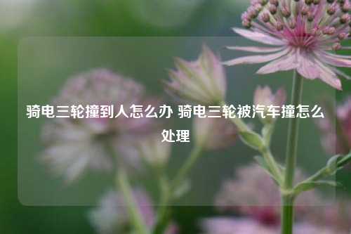 骑电三轮撞到人怎么办 骑电三轮被汽车撞怎么处理