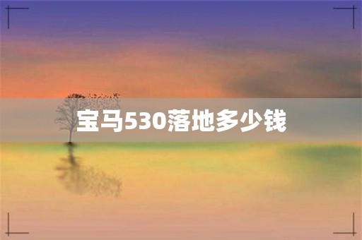 宝马二手车价格多少_宝马530li二手车价格_宝马二手车价格表