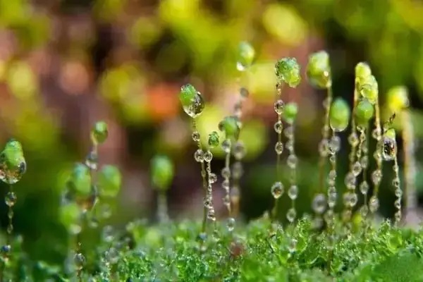 交通事故中车辆贬值损失索赔问题_交通事故赔偿车辆贬值损失_发生交通事故车辆贬值损失