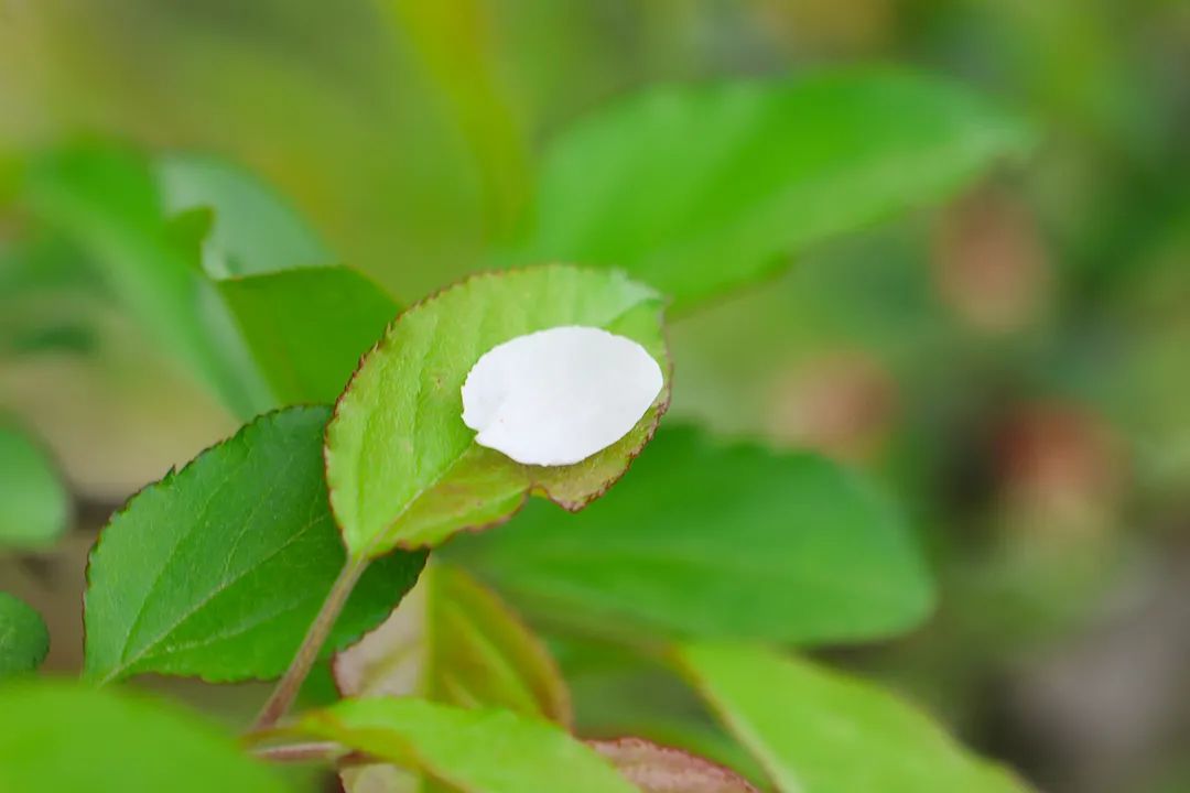 北京车抵押贷哪里最好_北京按揭车抵押贷款公司_北京按揭车抵押贷款